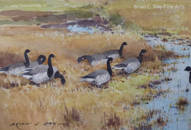 detail bottom left brent geese cley marshes