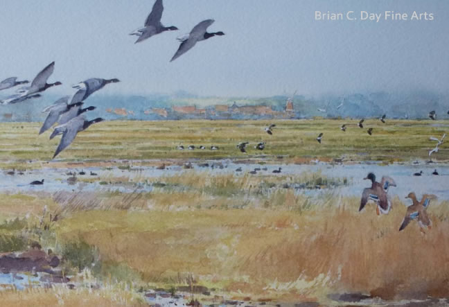 second detail bottom left brent geese cley marshes