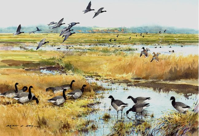brent geese cley marshes